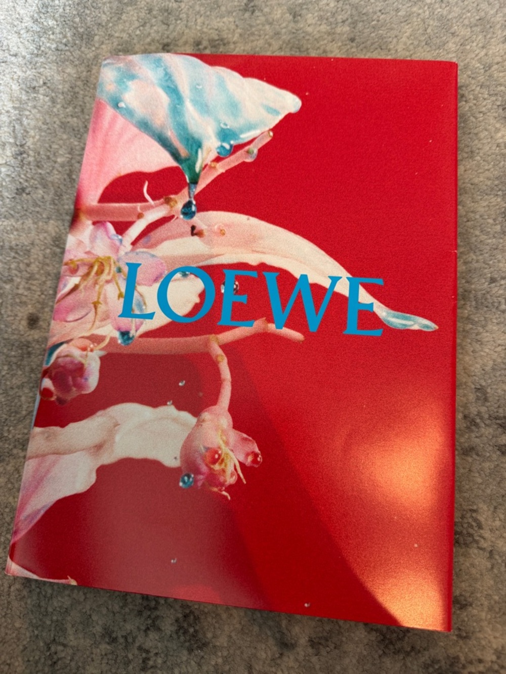 Loewe Magazine (Issue 10), Postcards and Ribbon - Picture 5 of 12